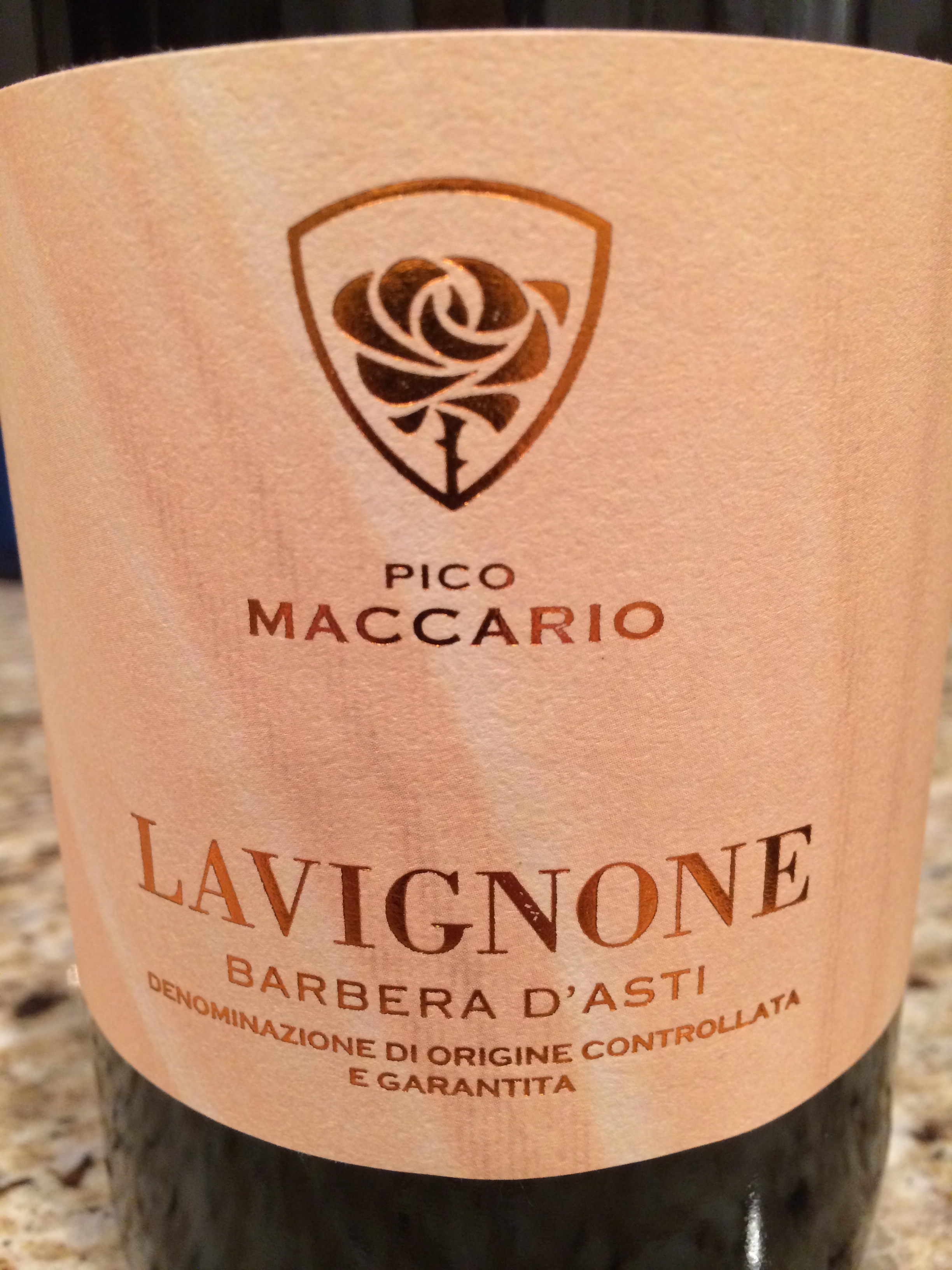 Barbera 2011 Lavignone