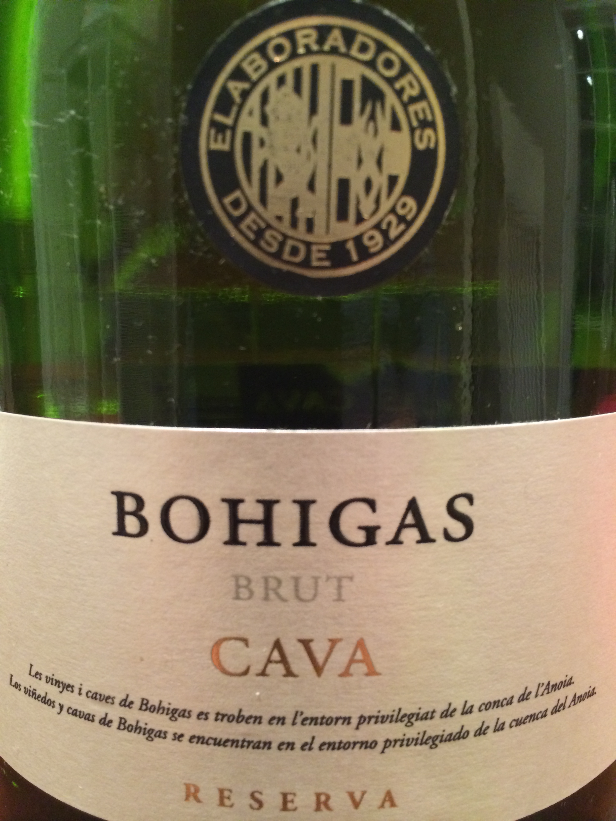 Bohigas Brut Cava